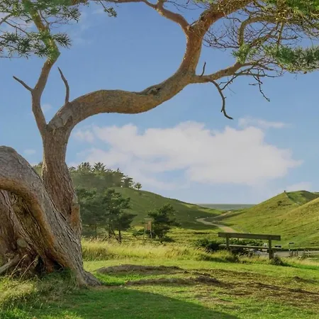 Bohemian Summer Idyll Close To Heatherhill And The