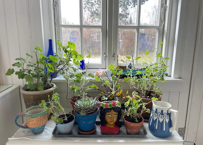 Bohemian Summer Idyll Close To Heatherhill And The Vejby