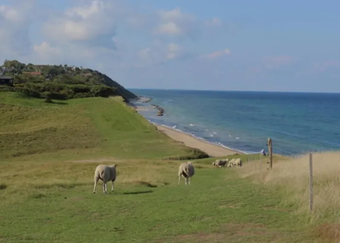 בית נופש Bohemian Summer Idyll Close To Heatherhill And The